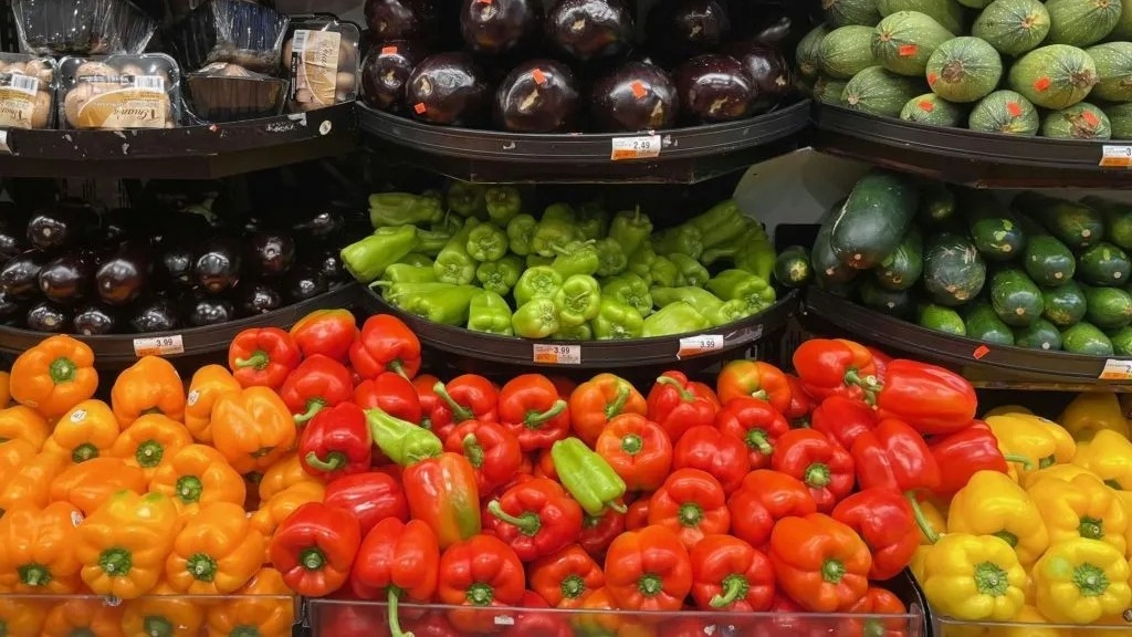 Les exportations agroalimentaires du Maroc atteignent un record de 86,2 milliards de dirhams en 2025