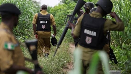 Dix policiers tués lors d'un affrontement au Nigeria