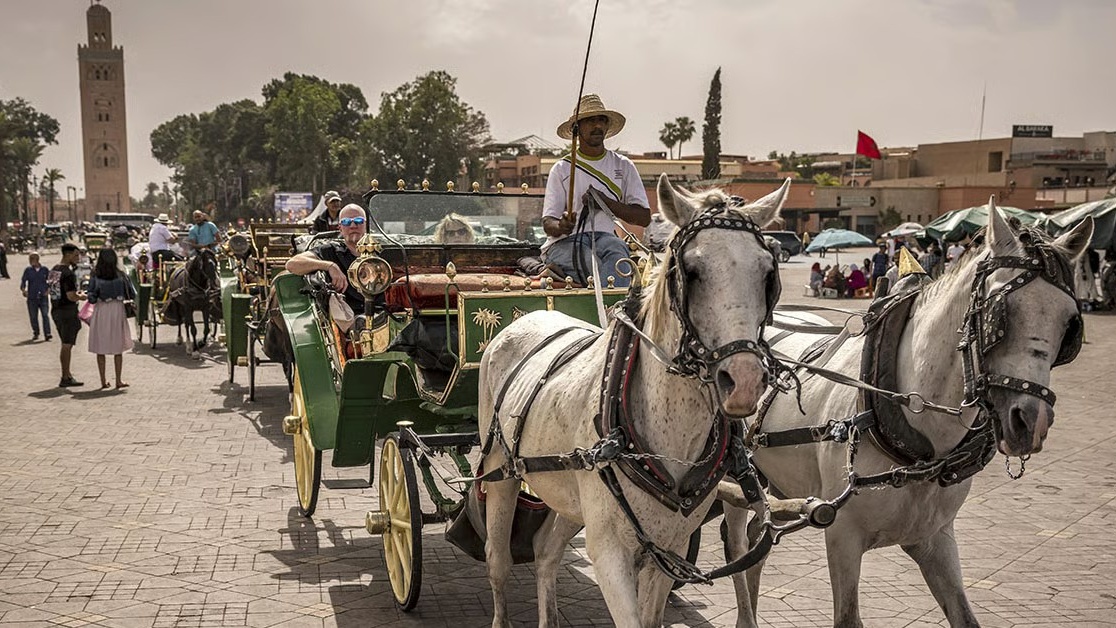 Tourisme : le Maroc accueille près de 9,4 millions de visiteurs au premier semestre 2026