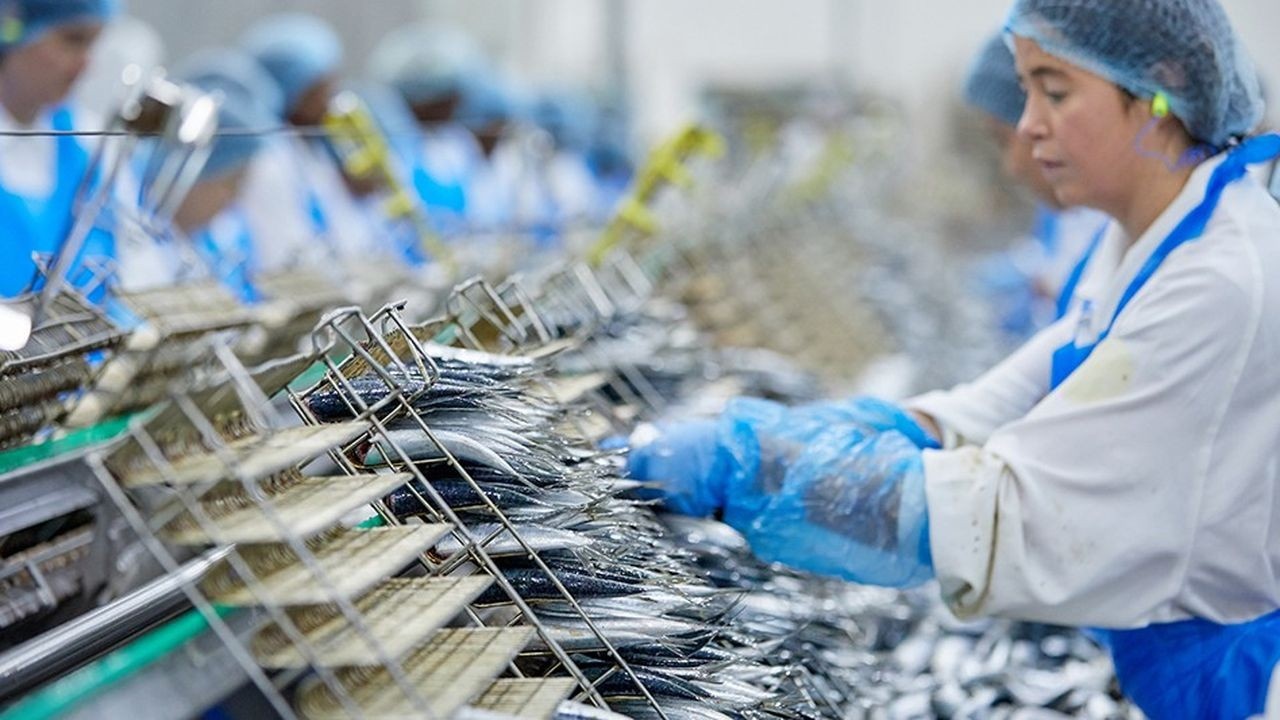 Sardines marocaines : Les tensions géopolitiques vident les boîtes de conserve américaines