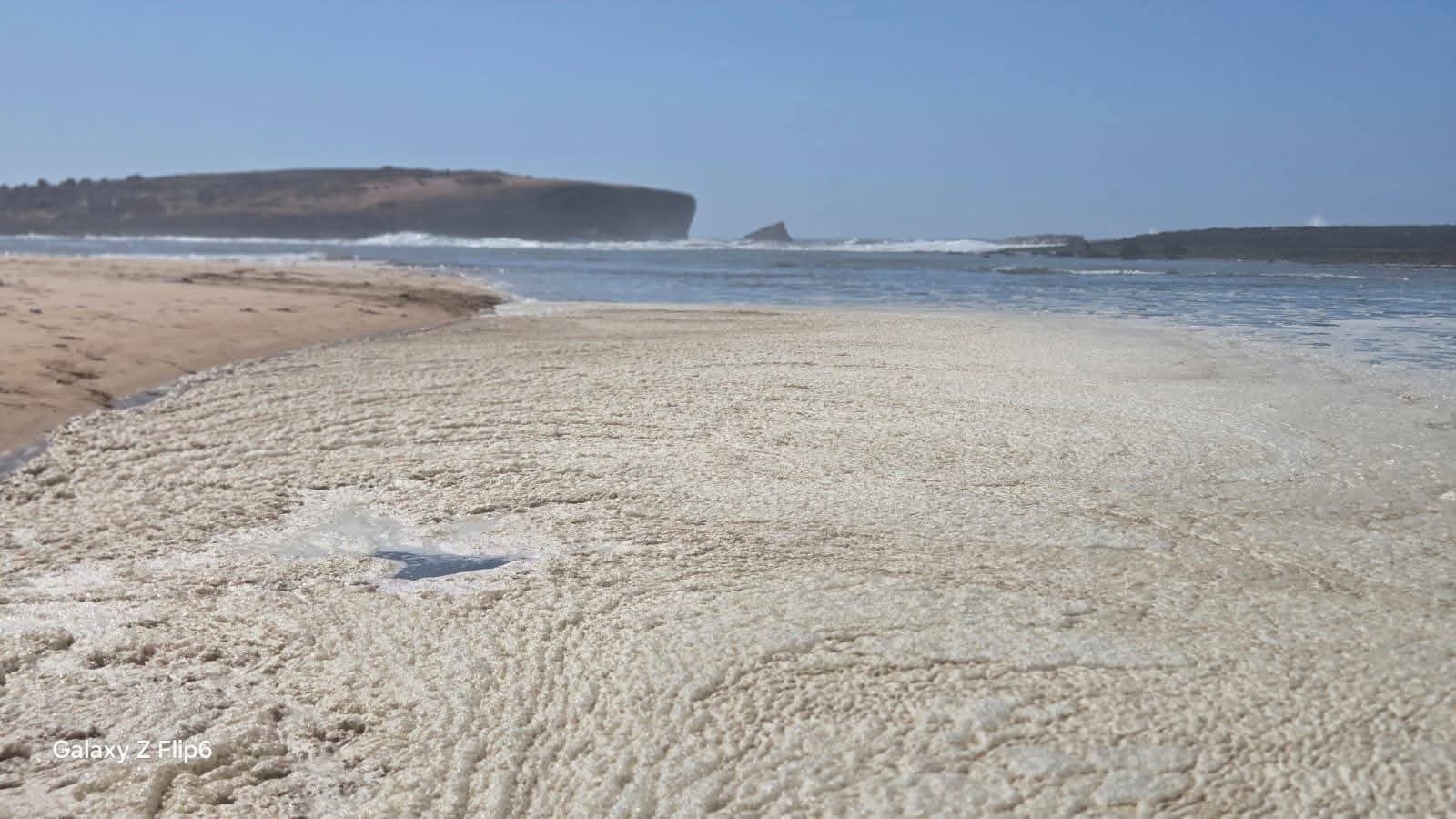 Écume marine à Sidi Belkhair : beauté et alerte écologique