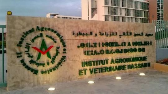 IAV Hassan II de Kénitra : le enseignants-chercheurs hausse le ton contre la tutelle face au blocage de leur régularisation 