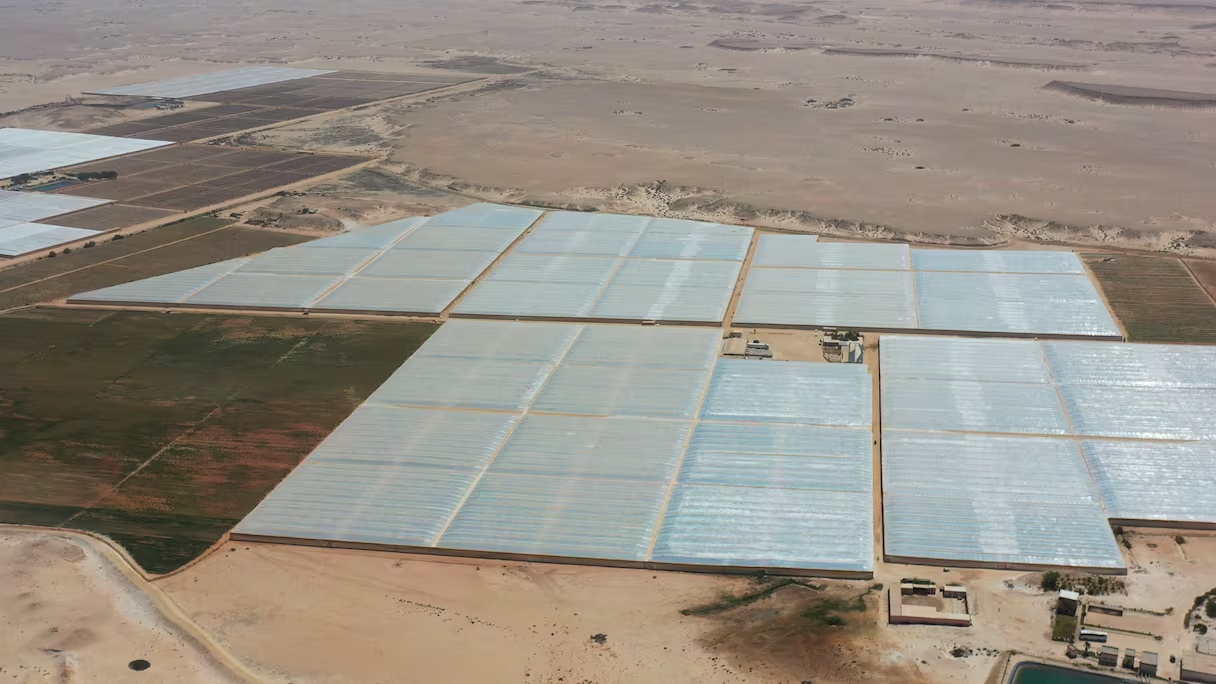 Dakhla : L'agriculture durable et les technologies agricoles attirent les investissements américains