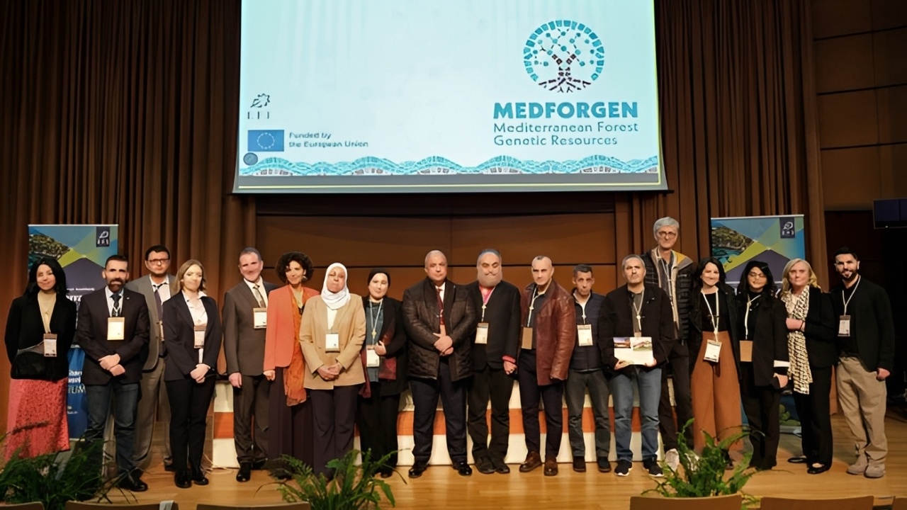 Forêts méditerranéennes : Ifrane accueille les 20 et 21 octobre une rencontre sur la diversité génétique