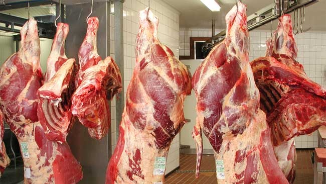 Importation de bovins : Le ministère de l’Agriculture annonce l’épuisement du quota de 300.000 têtes pour 2026