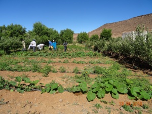 Produire mieux, produire plus