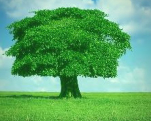 Sensibilisation dans 25 villes du Royaume