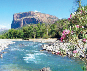 Projet de création de la Réserve de Biosphère du M’goun