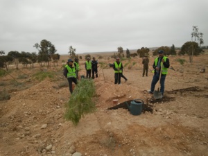 Création de ceintures vertes