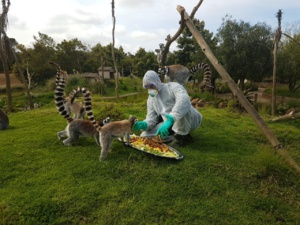 Le zoo de Rabat aux petits soins pour ses animaux