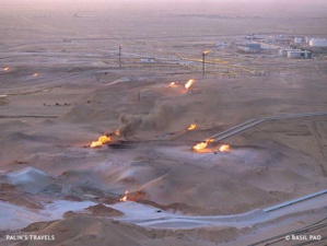 Effondrement des cours du brut: Le marché pétrolier sous la loupe de Coface