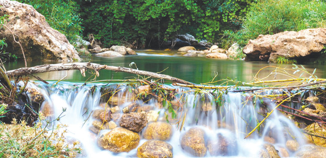 La nature reprend ses droits