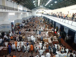 Casablanca: Le poisson, best seller incontesté du Ramadan