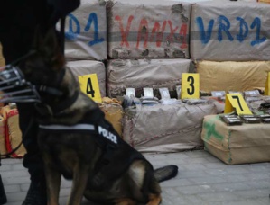 Coronavirus : La mutation forcée du marché du cannabis