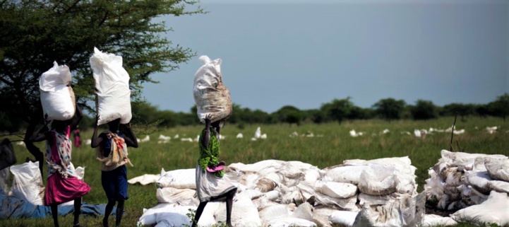 Sécurité alimentaire dans la région MENA : Le PAM tire la sonnette d'alarme