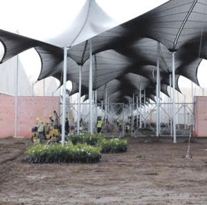 Développement durable : Les changements climatiques au cœur de la Journée internationale des coopératives