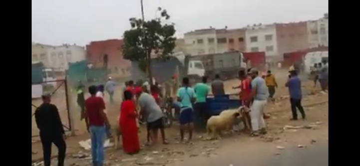 Vingt interpellations pour vol, violence et jets de pierres dans un marché de bétails à Casablanca