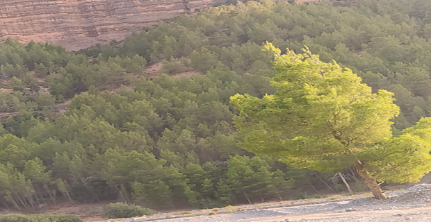 Béni-Mellal-Khénifra : Pour fuir la covid-19, retour à la nature