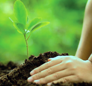 Midelt : une initiative pour accompagner les jeunes dans le domaine de l’entrepreneuriat vert