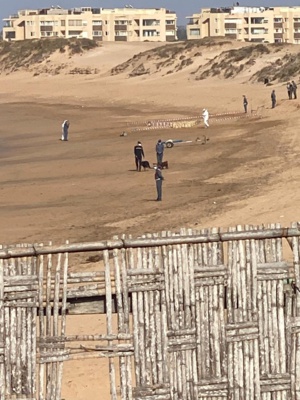 Trafic de stupéfiants: Marée de drogue à Oued Cherrat (vidéo)