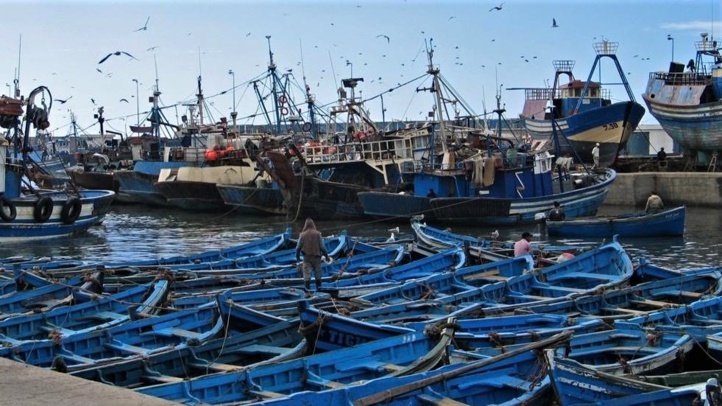 Vaste opération de désinfection du port d'Essaouira
