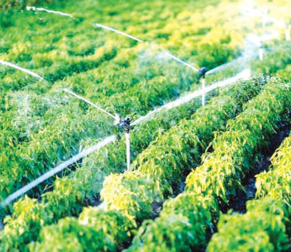 Génération Green 2020-2030 : Le plan d’actions 2021 du Gharb