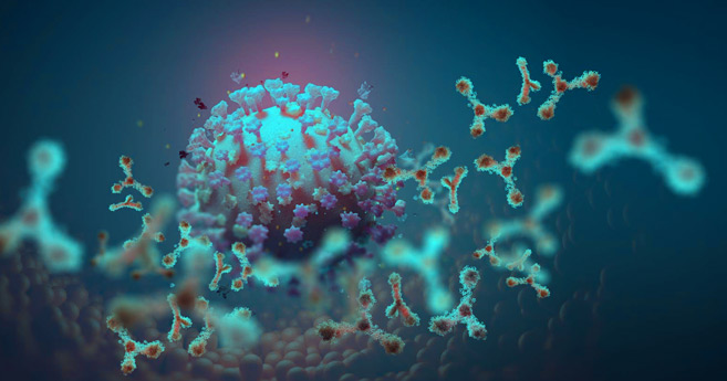 Covid-19 : La variante sud-africaine inquiète