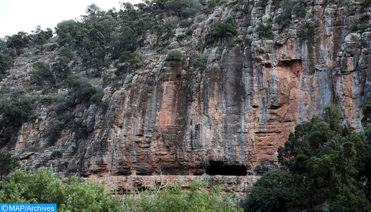 Berkane : Découverte des plus anciennes gravures rupestres de l’Afrique du Nord