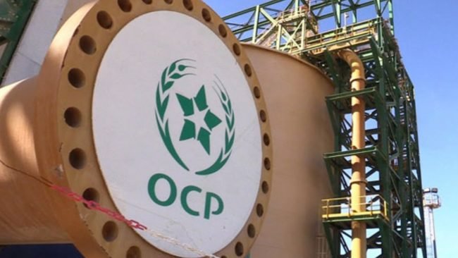 L’OCP tient bon face à Mosaic