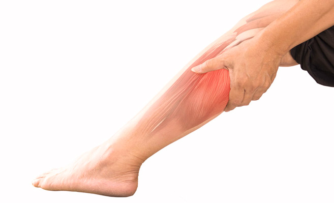 Santé : Les crampes musculaires associées à l’effort