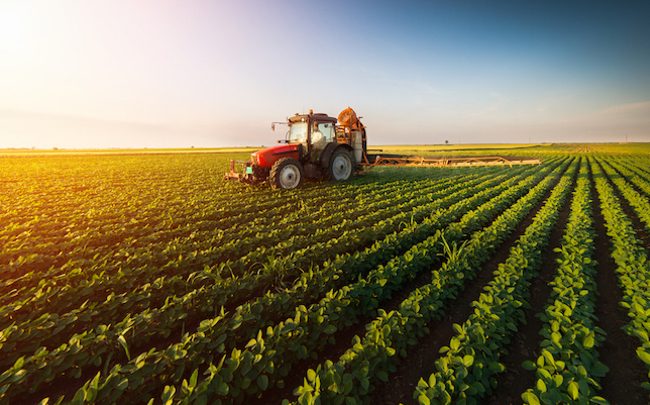 Secteur agricole : vers un renforcement du partenariat avec le Mexique