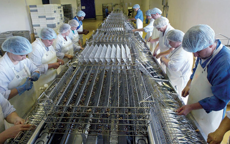  Industrie agro-alimentaire: Une nouvelle opportunité d’investissement au Maroc