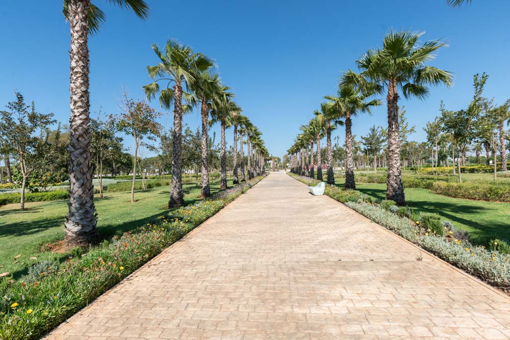 La capitale bientôt dotée d’un système de surveillance pour protéger sa composante verte