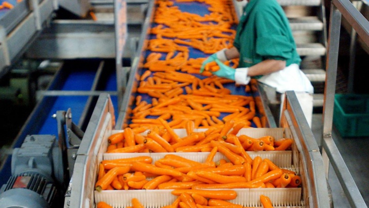 Des perspectives prometteuses pour l'industrie agroalimentaire marocaine