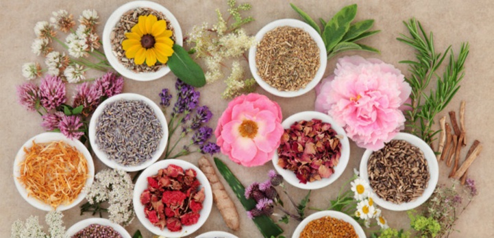 La 3e édition du programme de recherche Valorisation des Plantes Médicinales et Aromatiques lancée