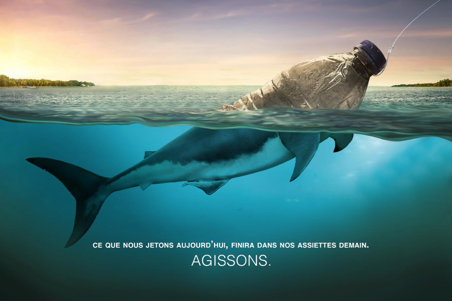 La Fondation Mohammed VI se mobilise pour la protection des mers et des océans