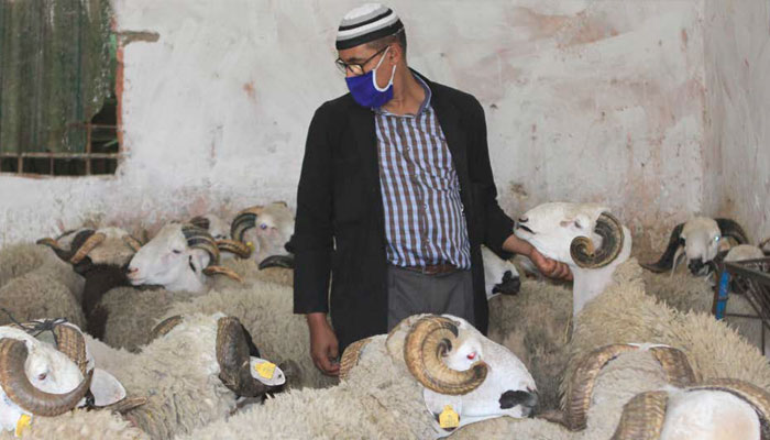 l'Aid Adha sera célébré le mercredi 21 juillet