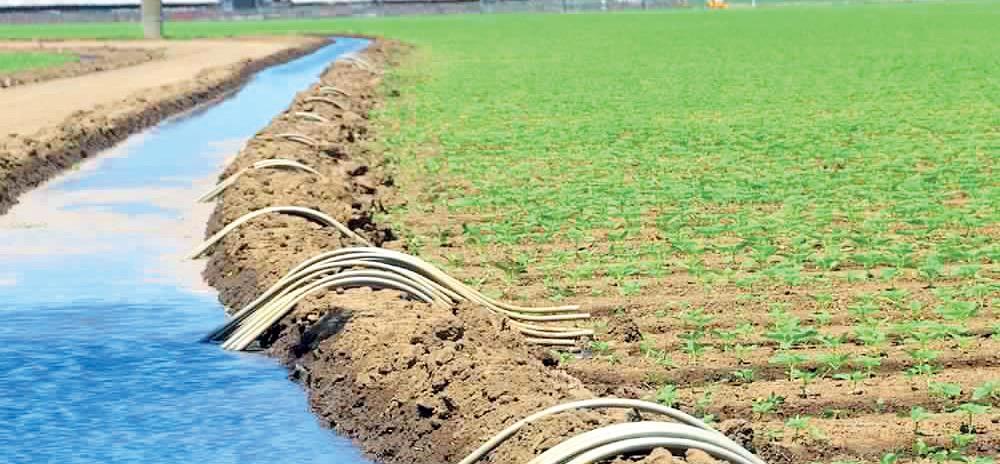 Rapport de la BAD sur l’agro-industrie : Développer le monde rural continental à travers les SAPZ