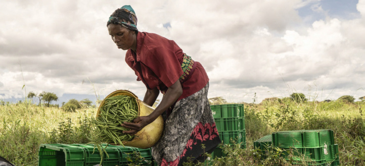Nouveau rapport de la CNUCED sur la ZLECAf : Faire de la biodiversité le moteur du commerce durable