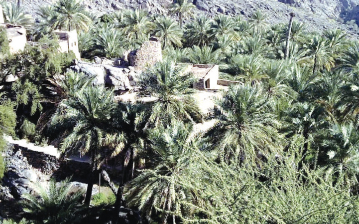 Marrakech / ENA : Solutions créatives de lutte contre la désertification