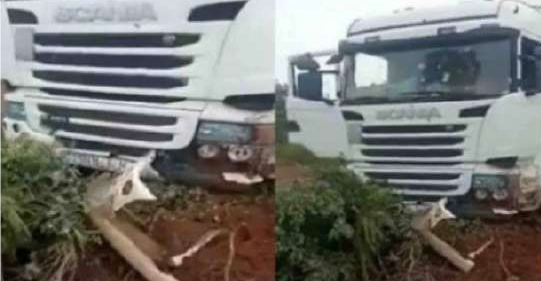 La Toile remontée après l’assassinat de deux camionneurs marocains au Mali