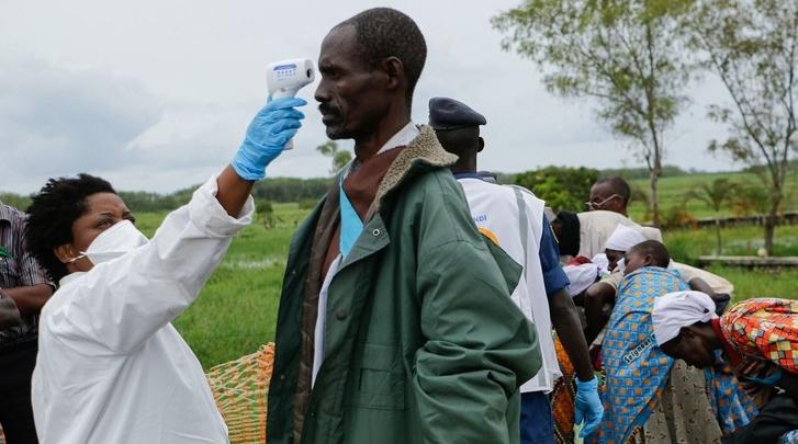 Covid-19 : Plus de 8 millions de cas en Afrique