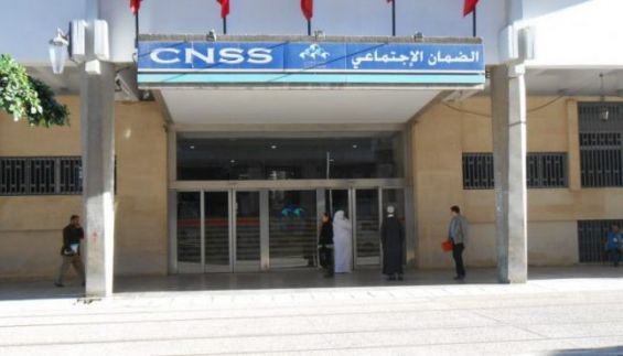 CNSS : Les travailleurs non-salariés peuvent désormais bénéficier de l'AMO