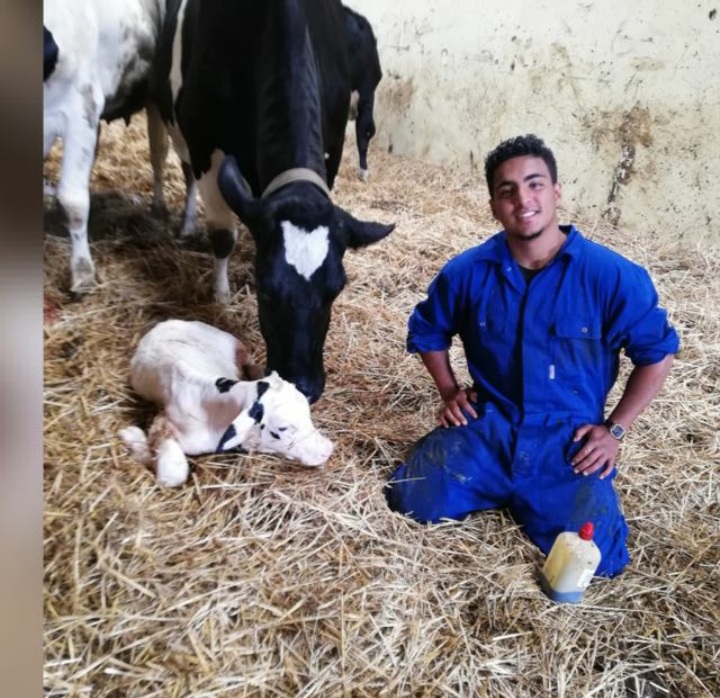 Interview avec Ayoub Louihrani : « Un fermier perçoit 300 dhs par heure aux Pays-Bas contre 200 dhs par jour au Maroc »