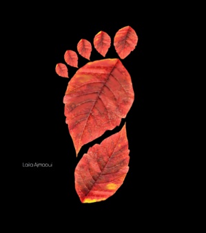 Interview avec Laila Ajmaoui : Voyage dans le monde de la photographie