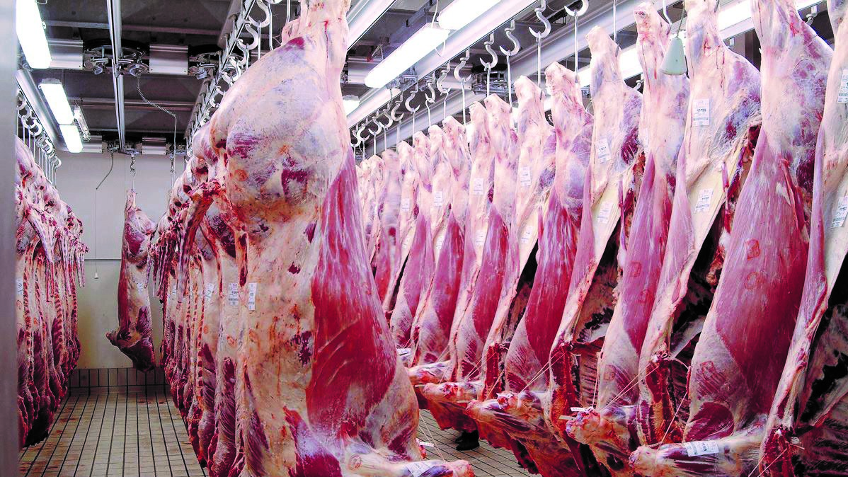 Doukkala : Filière de la viande, des plus performantes à l’échelle nationale