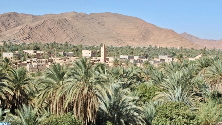 Guelmim-Oued Noun : Initiatives en faveur du secteur agricole