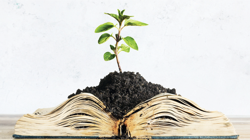 Papier ou tablette : L’industrie du livre subit le diktat de l’écologie