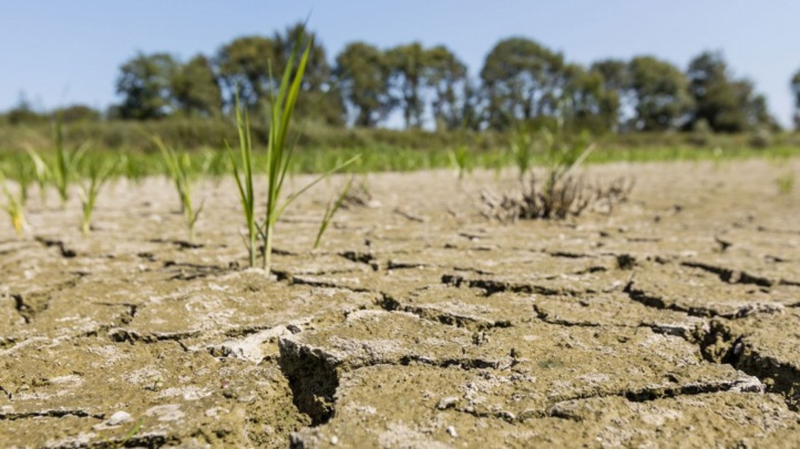 Casablanca-Settat : Déficit pluviométrique de 66 %