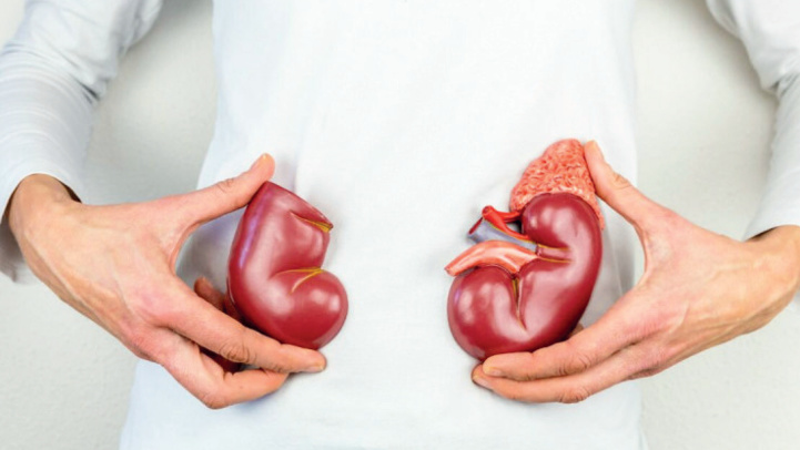 Association REINS/Rabat : Campagne de sensibilisation aux dangers de la maladie rénale